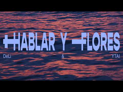 Últim videoclip d'Estuari